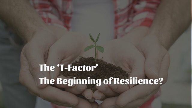The ‘T-Factor’ – the Beginning of Resilience?